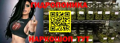 СК Дмитров