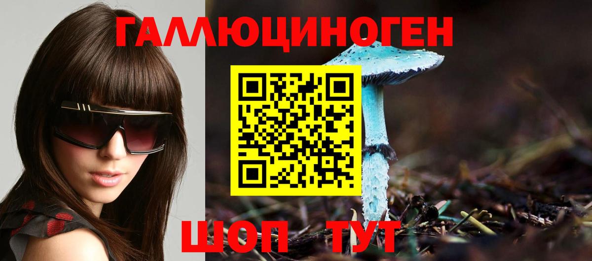 Ростов Великий  Псилоцибиновые грибы Psilocybe  Вход с VPN  Псилоцибиновые грибы ЛСД 