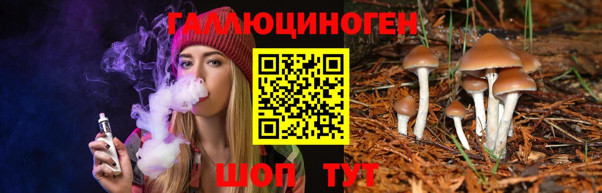 НБОМе Ростов Великий